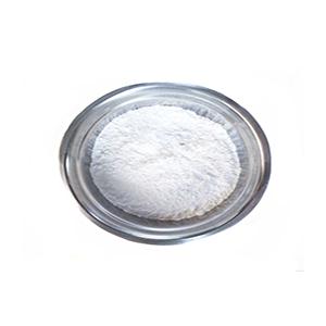 6-亚甲基孕甾-4-烯-17Α-醇-3,20-二酮-17-醋酸酯