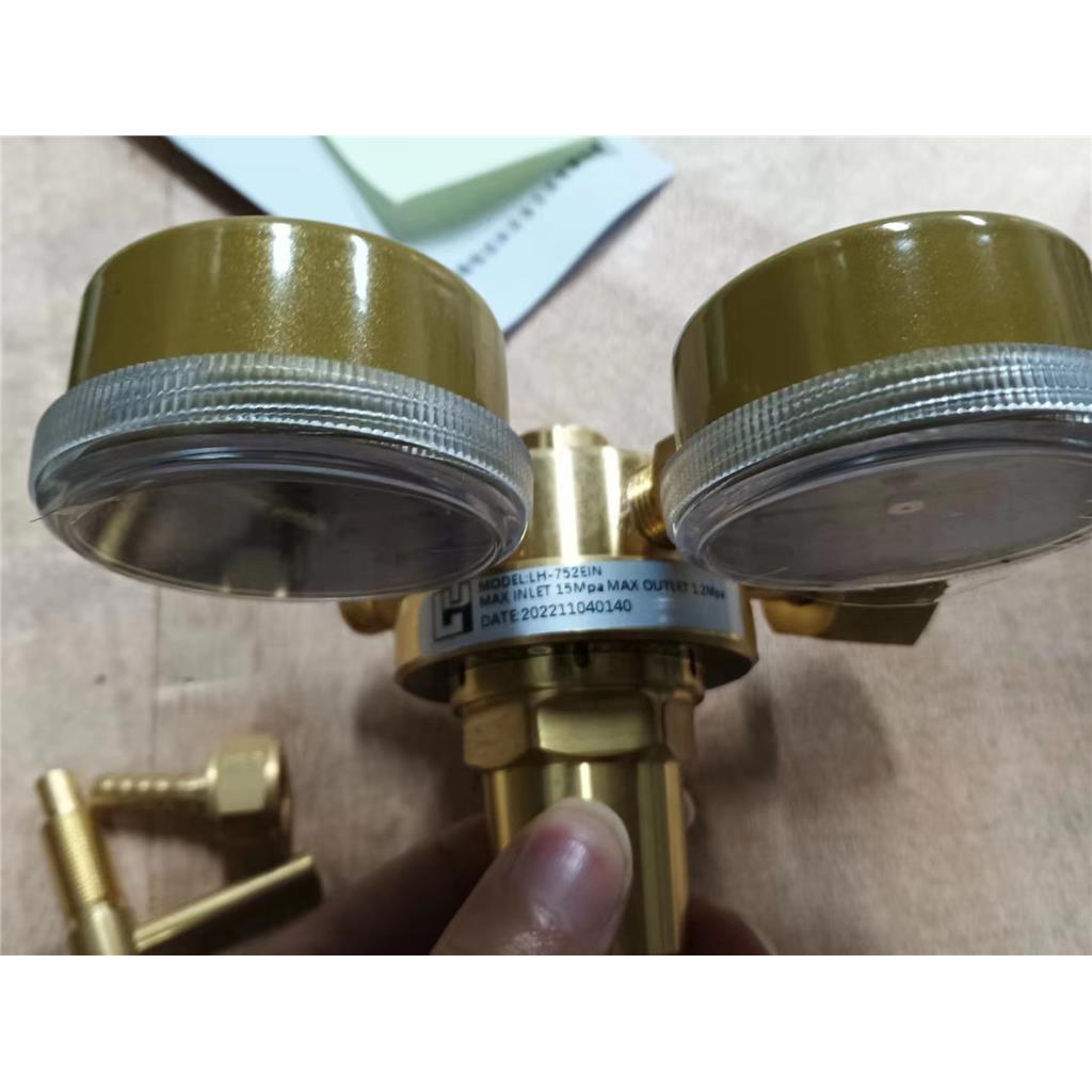 W21.8RH标气减压器0-0.6