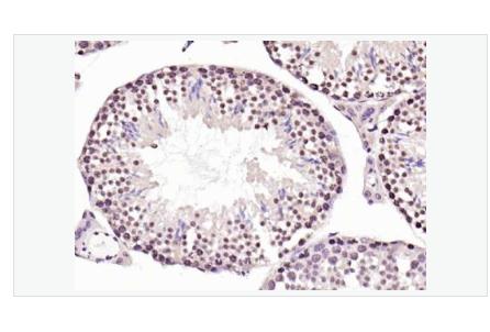 搜狗截图23年05月10日1404_37.png 搜狗截图23年05月10日1404_37.png
