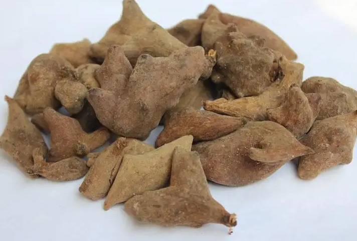 五倍子多糖黄酮皂苷多糖多酚生物碱挥发油等提取树脂纯化成分分离定制及检测