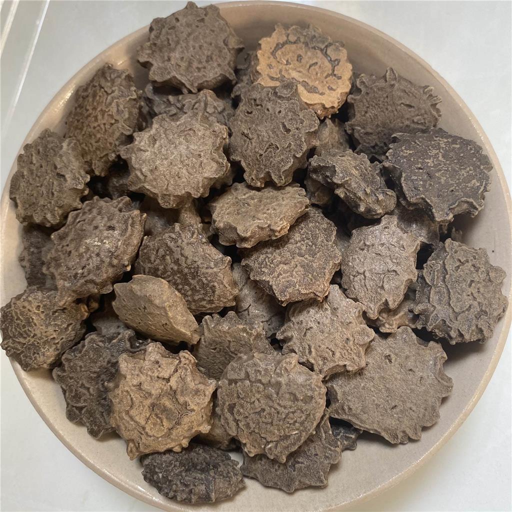 木鳖子多糖黄酮皂苷多糖多酚生物碱挥发油等提取树脂纯化成分分离定制及检测