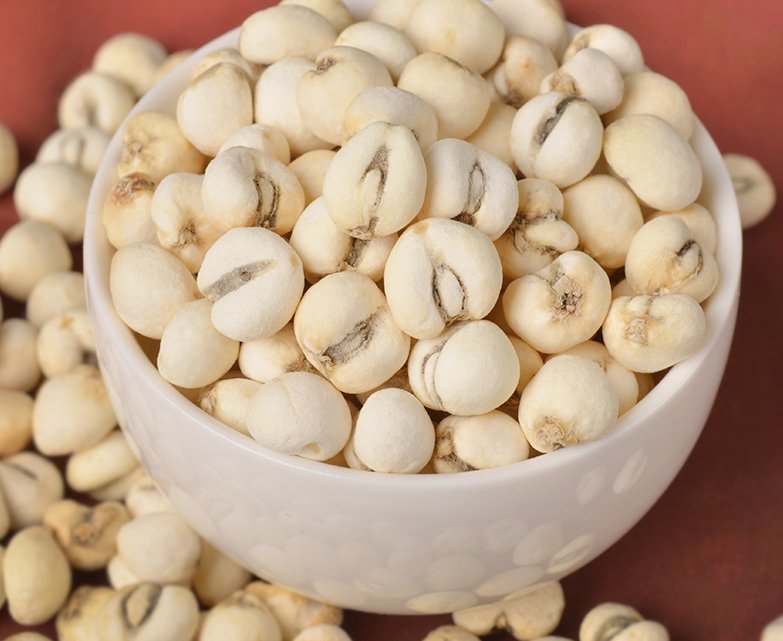 川贝母多糖黄酮皂苷多糖多酚生物碱挥发油等提取树脂纯化成分分离定制及检测