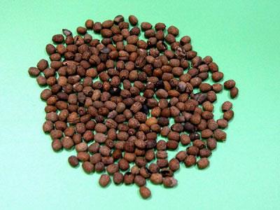 千金子霜多糖黄酮皂苷多糖多酚生物碱挥发油等提取树脂纯化成分分离定制及检测