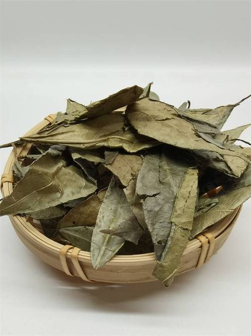 山香圆叶多糖黄酮皂苷多糖多酚生物碱挥发油等提取树脂纯化成分分离定制及检测