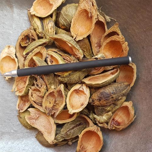 大腹皮黄酮皂苷多糖多酚生物碱挥发油等提取树脂纯化成分分离定制及检测