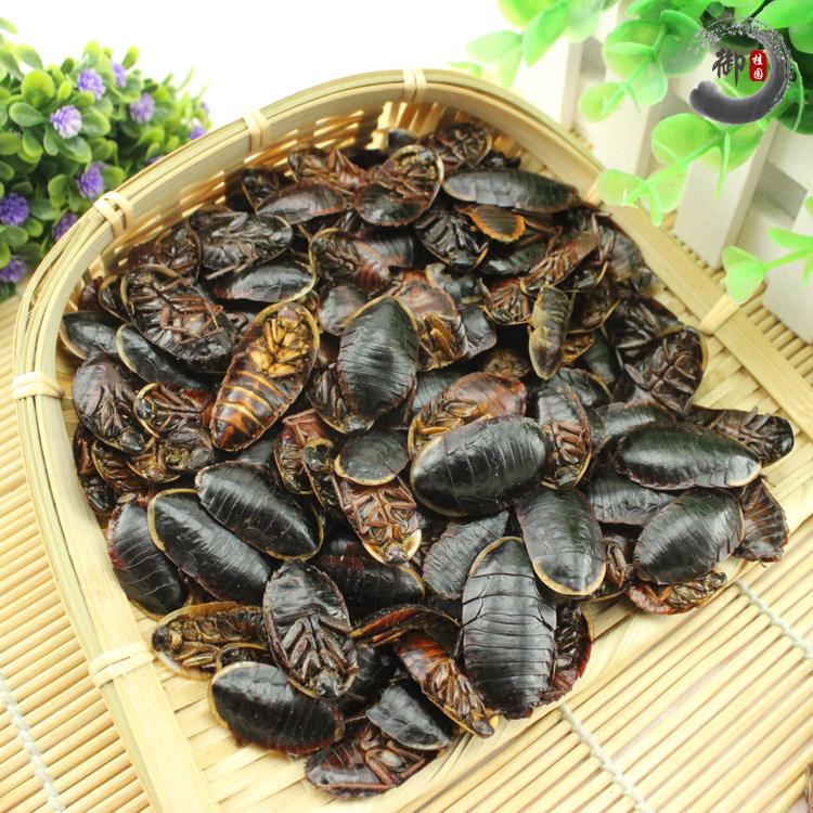 土鳖虫黄酮皂苷多糖多酚生物碱挥发油等提取树脂纯化成分分离定制及检测