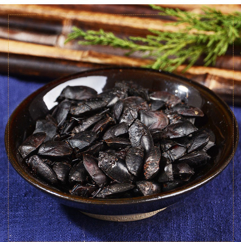 九香虫黄酮皂苷多糖多酚生物碱挥发油等提取树脂纯化成分分离定制及检测