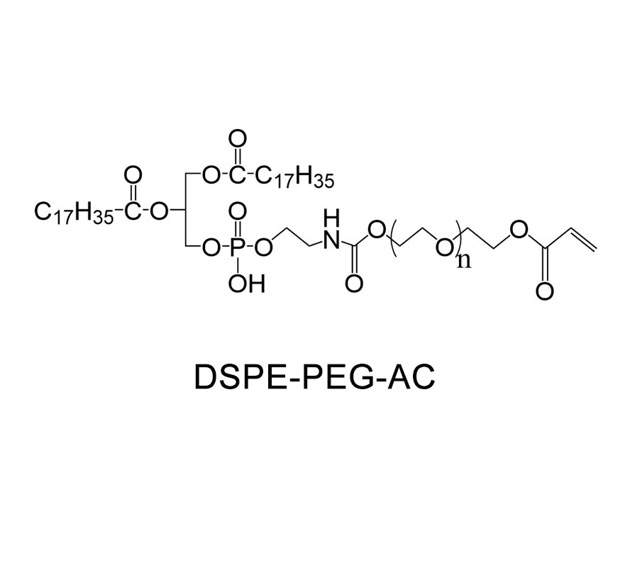 二硬脂酰基磷脂酰乙醇胺-聚乙二醇-丙烯酸；DSPE-PEG-AC；DSPE-PEG-Acrylate