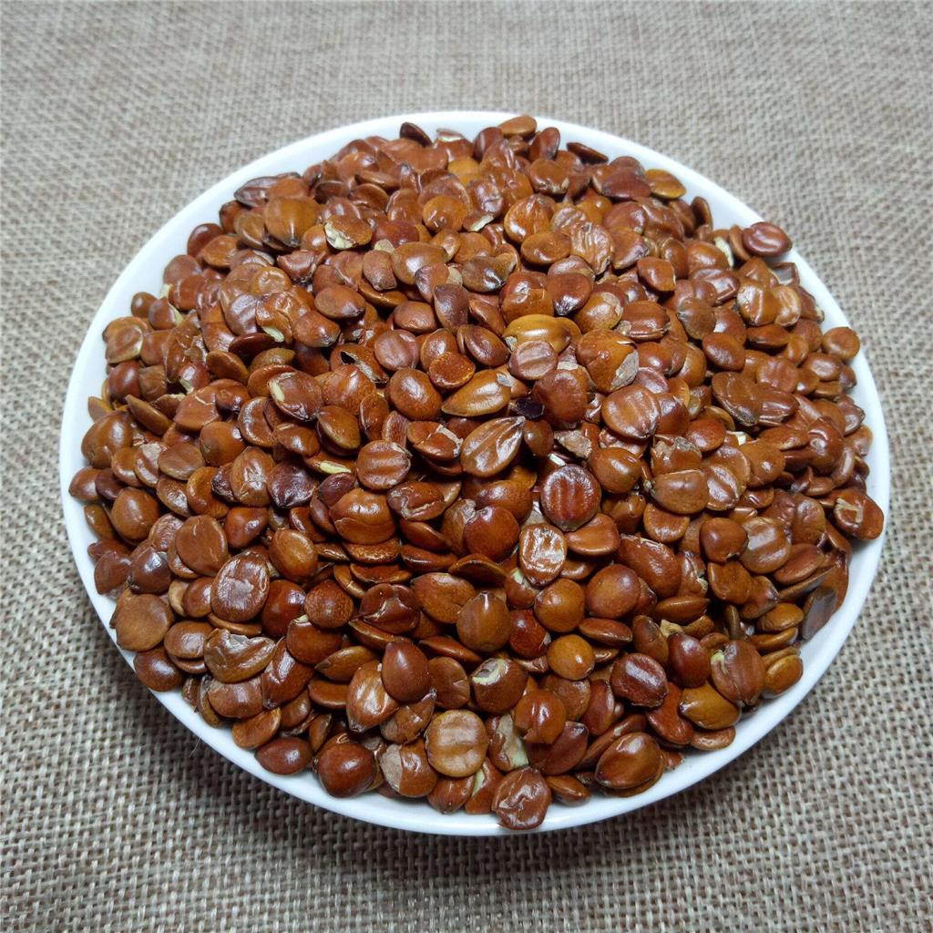 酸枣仁多糖黄酮皂苷多糖多酚生物碱挥发油等提取树脂纯化成分分离定制及检测