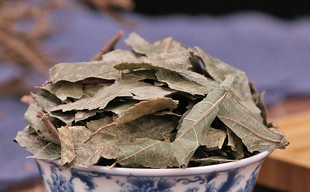 矮地茶多糖黄酮皂苷多糖多酚生物碱挥发油等提取树脂纯化成分分离定制及检测