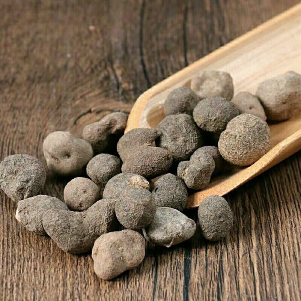 雷丸多糖黄酮皂苷多糖多酚生物碱挥发油等提取树脂纯化成分分离定制及检测