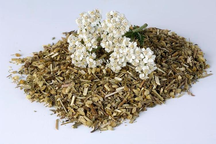 蓍草多糖黄酮皂苷多糖多酚生物碱挥发油等提取树脂纯化成分分离定制及检测