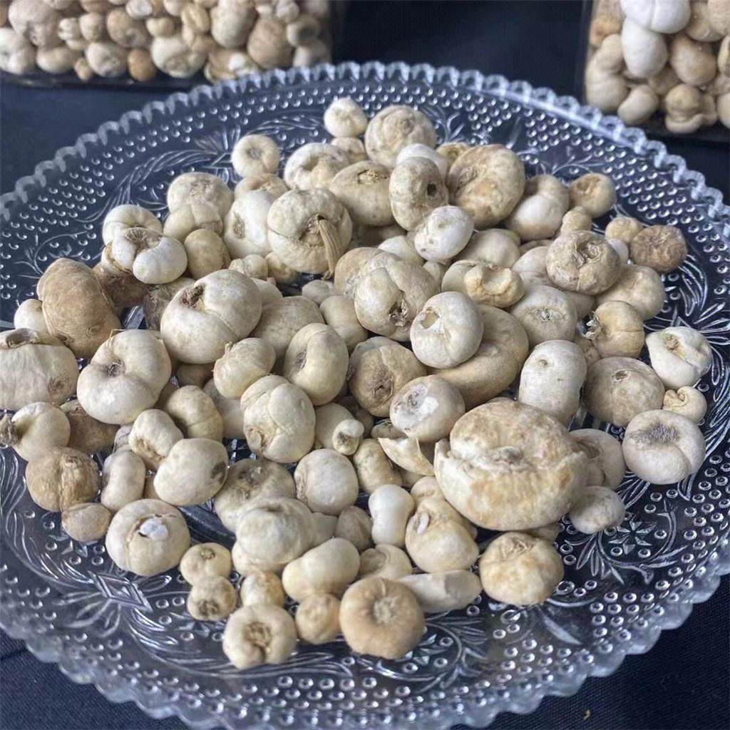 湖北贝母多糖黄酮皂苷多糖多酚生物碱挥发油等提取树脂纯化成分分离定制及检测