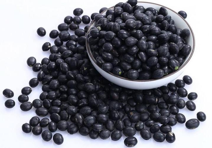 黑豆多糖黄酮皂苷多糖多酚生物碱挥发油等提取树脂纯化成分分离定制及检测