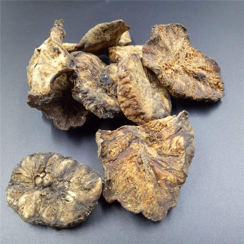 菊苣多糖黄酮皂苷多糖多酚生物碱挥发油等提取树脂纯化成分分离定制及检测