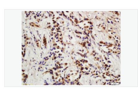 搜狗截图23年05月12日1601_303.png 搜狗截图23年05月12日1601_303.png