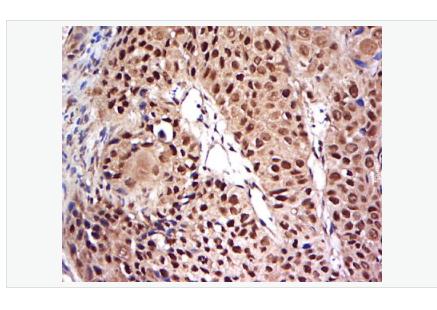 搜狗截图23年05月12日1648_319.png 搜狗截图23年05月12日1648_319.png