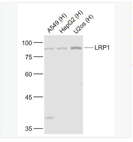 搜狗截图23年05月12日1654_321.png 搜狗截图23年05月12日1654_321.png