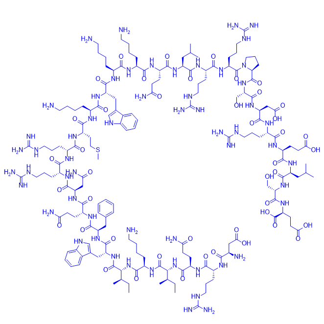 核转录因子 NF-kappaB 抑制剂多肽/PTD-p65-P1 Peptide
