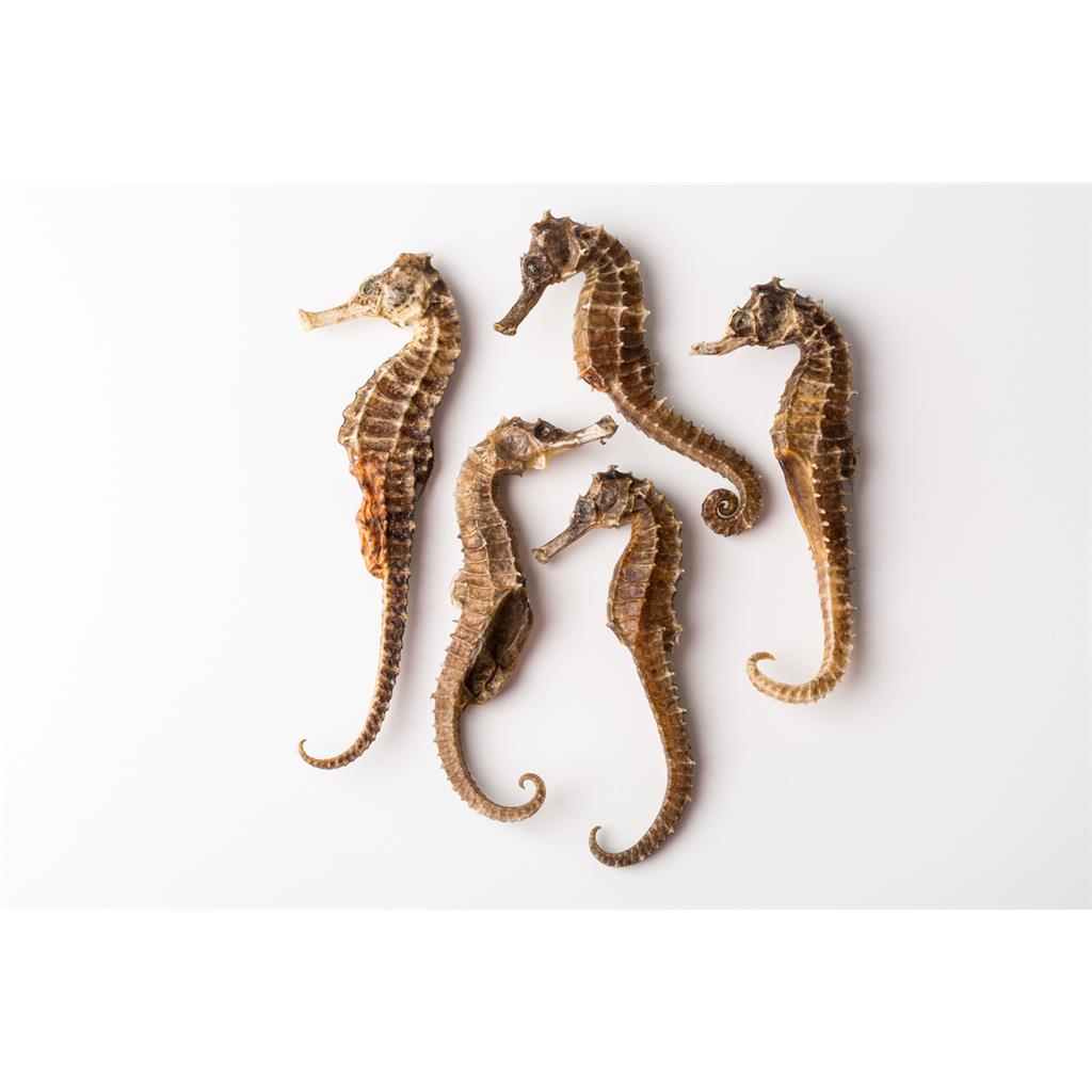 海马多糖黄酮皂苷多糖多酚生物碱挥发油等提取树脂纯化成分分离定制及检测