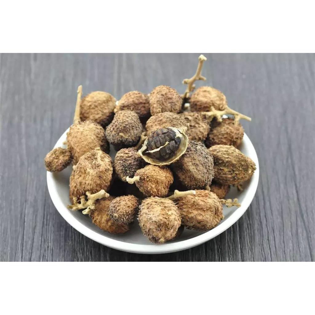 砂仁多糖黄酮皂苷多糖多酚生物碱挥发油等提取树脂纯化成分分离定制及检测