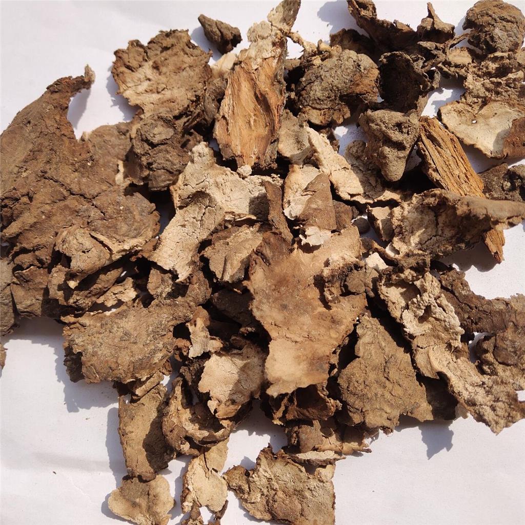 茯苓皮多糖黄酮皂苷多糖多酚生物碱挥发油等提取树脂纯化成分分离定制及检测