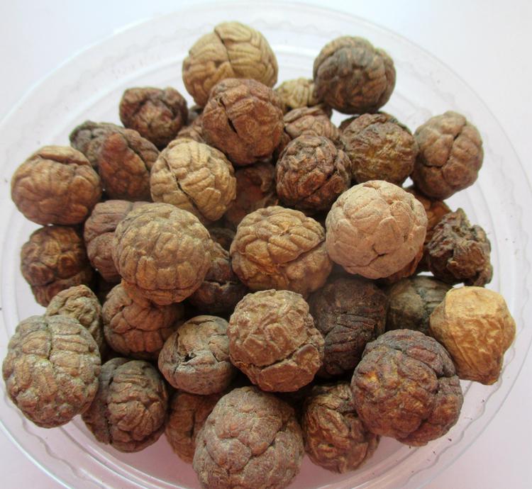 草豆蔻多糖黄酮皂苷多糖多酚生物碱挥发油等提取树脂纯化成分分离定制及检测