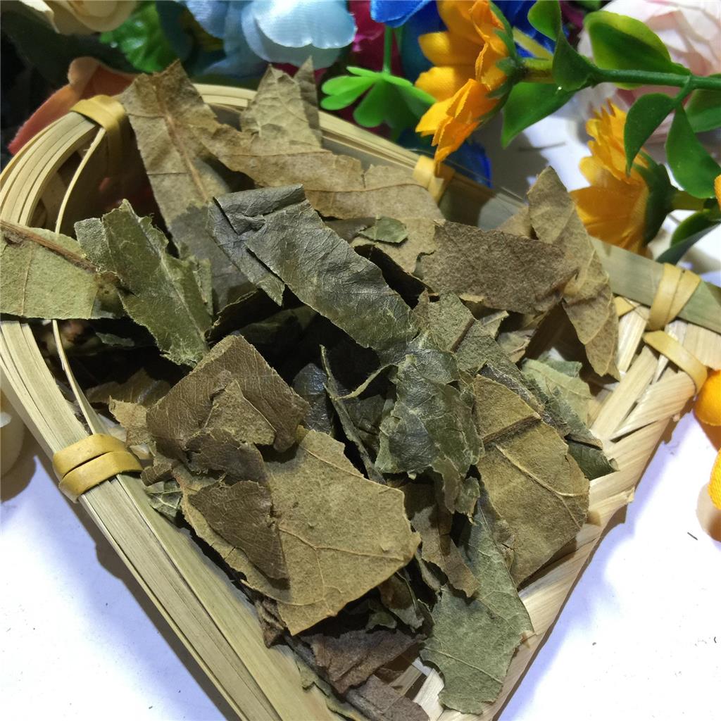 枇杷叶多糖黄酮皂苷多糖多酚生物碱挥发油等提取树脂纯化成分分离定制及检测