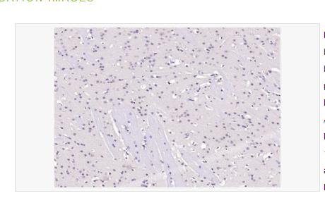 搜狗截图23年05月15日0937_335.png 搜狗截图23年05月15日0937_335.png