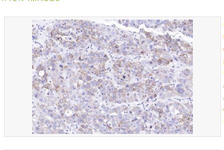 搜狗截图23年05月15日0941_336.png 搜狗截图23年05月15日0941_336.png