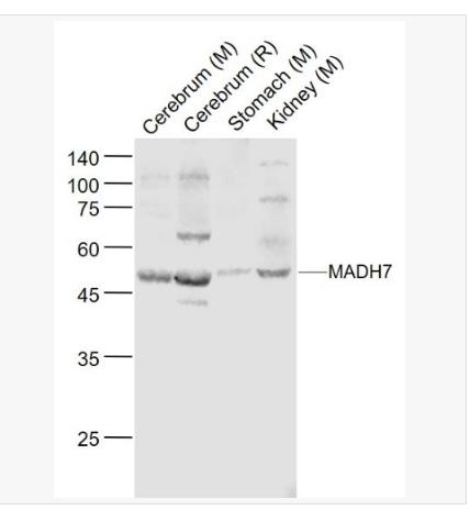 搜狗截图23年05月15日1019_347.png 搜狗截图23年05月15日1019_347.png