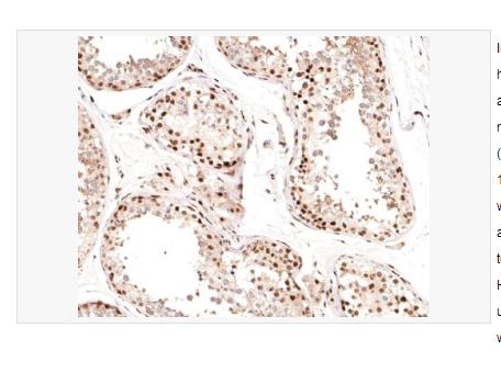 搜狗截图23年05月15日1113_366.png 搜狗截图23年05月15日1113_366.png