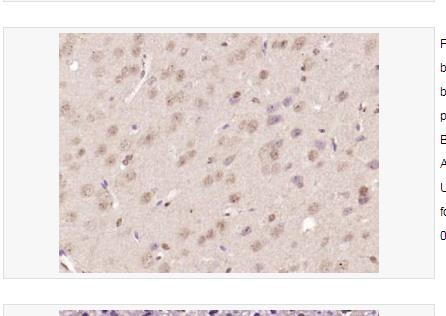搜狗截图23年05月15日1127_372.png 搜狗截图23年05月15日1127_372.png