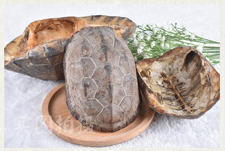 龟甲多糖黄酮皂苷多糖多酚生物碱挥发油等提取树脂纯化成分分离定制及检测