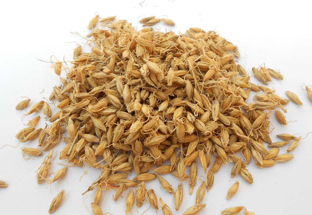 谷芽多糖黄酮皂苷多糖多酚生物碱挥发油等提取树脂纯化成分分离定制及检测