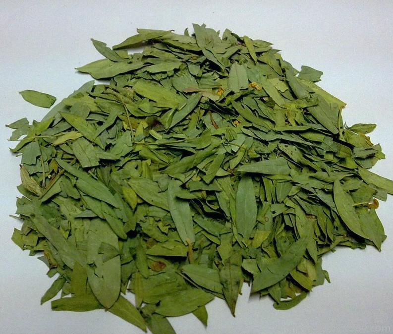 杜仲叶多糖黄酮皂苷多糖多酚生物碱挥发油等提取树脂纯化成分分离定制及检测