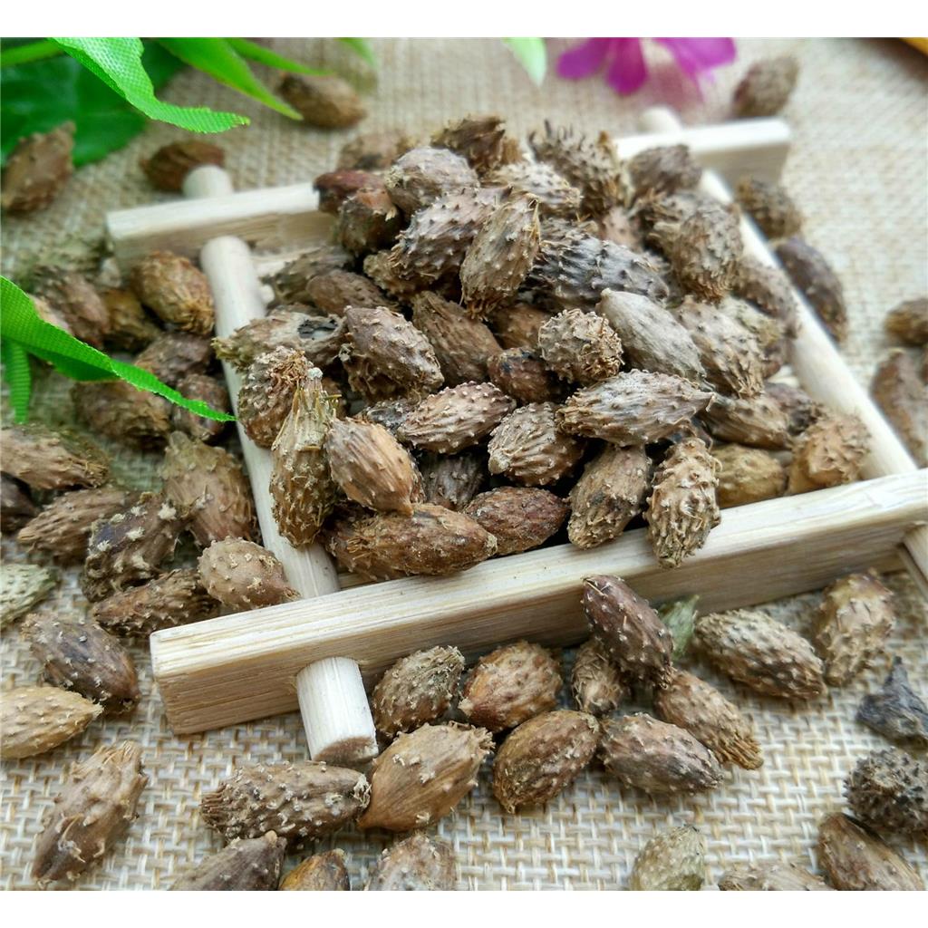 苍耳子多糖黄酮皂苷多糖多酚生物碱挥发油等提取树脂纯化成分分离定制及检测