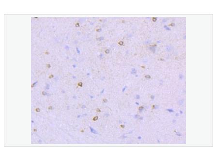 搜狗截图23年05月16日1125_382.png 搜狗截图23年05月16日1125_382.png