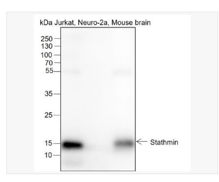 搜狗截图23年05月16日1549_407.png 搜狗截图23年05月16日1549_407.png