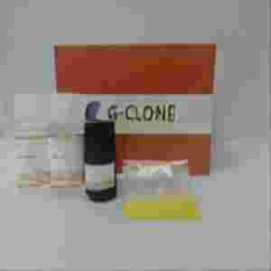 显色基质鲎试剂盒