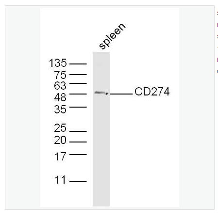 搜狗截图23年05月17日0943_422.png 搜狗截图23年05月17日0943_422.png