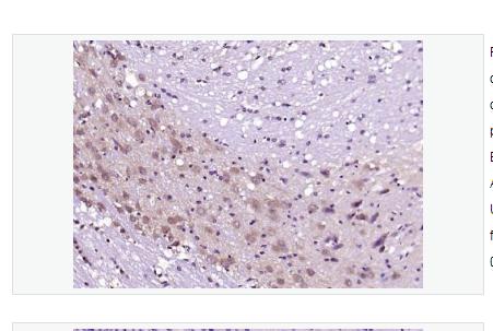 搜狗截图23年05月17日1020_436.png 搜狗截图23年05月17日1020_436.png