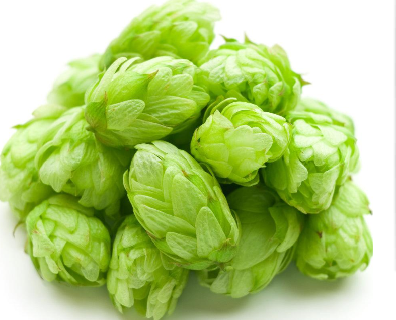 黄腐酚，啤酒花提取物，抗氧化