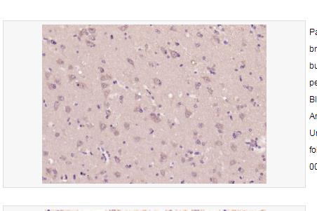 搜狗截图23年05月19日0928_450.png 搜狗截图23年05月19日0928_450.png