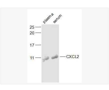 搜狗截图23年05月19日0937_453.png 搜狗截图23年05月19日0937_453.png