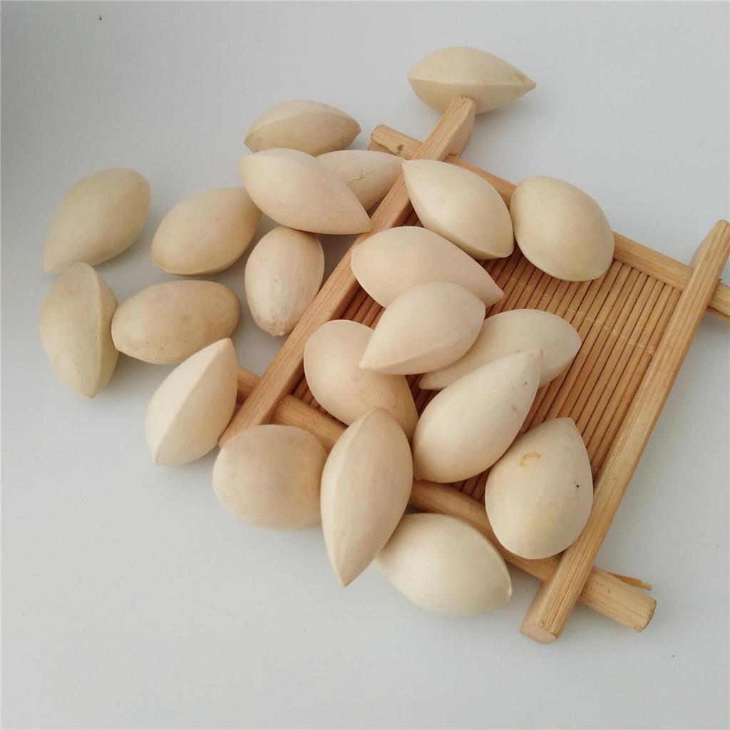 白果多糖黄酮皂苷多糖多酚生物碱挥发油等提取树脂纯化成分分离定制及检测