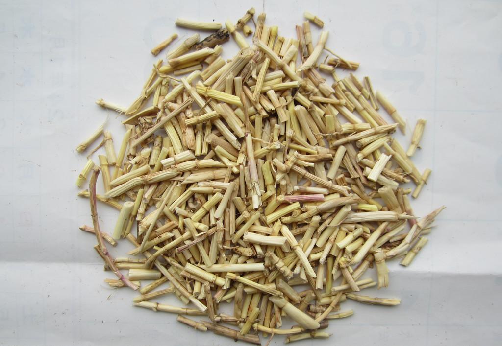 白茅根多糖黄酮皂苷多糖多酚生物碱挥发油等提取树脂纯化成分分离定制及检测