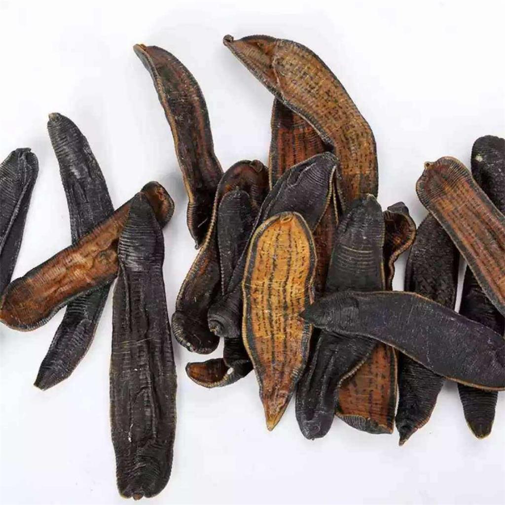 水蛭多糖黄酮皂苷多糖多酚生物碱挥发油等提取树脂纯化成分分离定制及检测