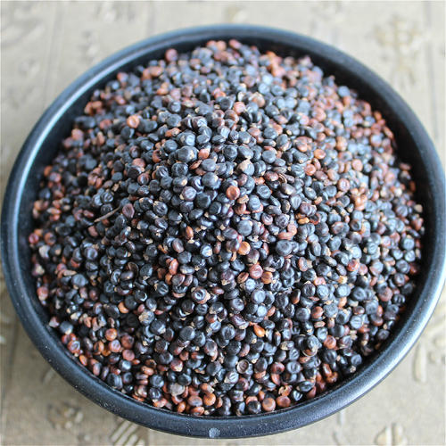 水红花子多糖黄酮皂苷多糖多酚生物碱挥发油等提取树脂纯化成分分离定制及检测