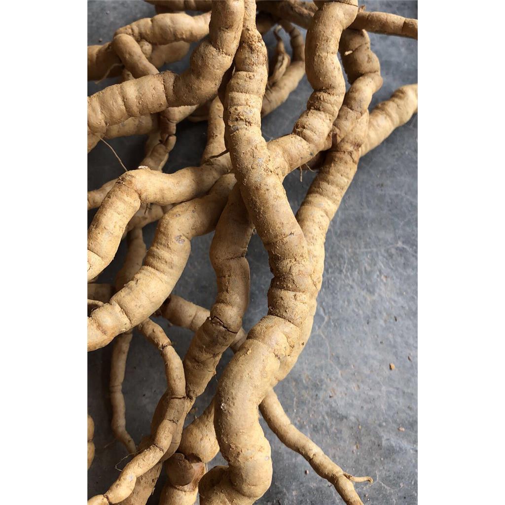 巴戟天多糖黄酮皂苷多糖多酚生物碱挥发油等提取树脂纯化成分分离定制及检测